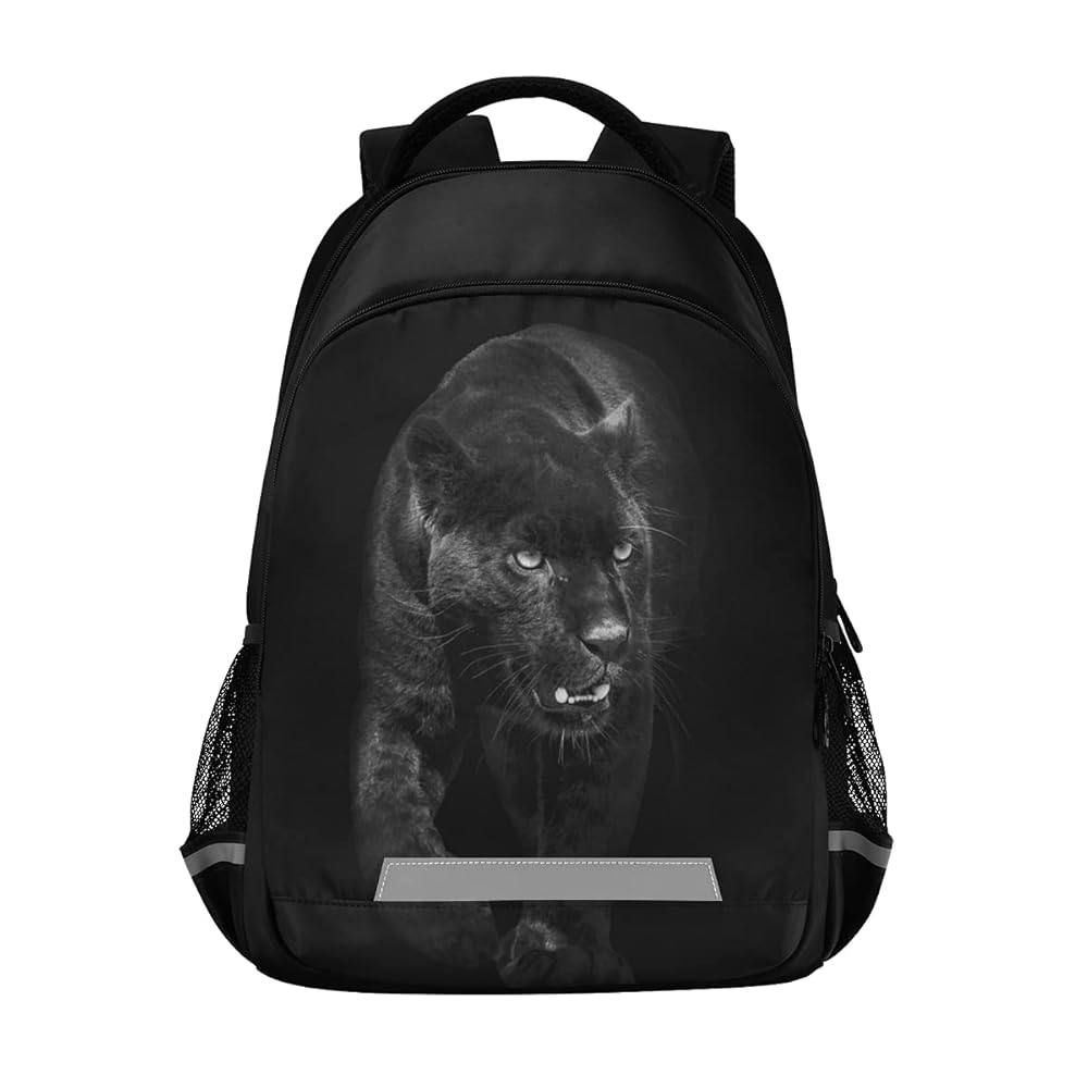 Amazon.com | Panther In Dark Backpack for Students Boys